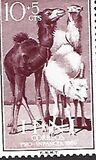 [Child Welfare - Animals, type BH]