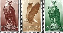 [Child Welfare - Eagles, Вид AP]