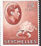 [Local Motives - Aldabra Giant Tortoise, වර්ගය V3]