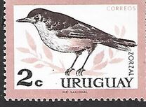 [Birds, type PE]
