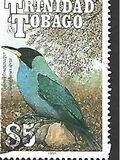 [Birds, Scrivi RP]