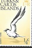 [Birds, type EF]