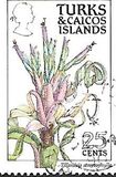 [Island Flowers, тип ZU]