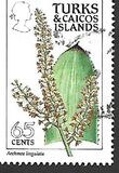 [Island Flowers, тип ZY]