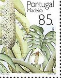 [Fruits and Plants of Subtropic region, type DJ]