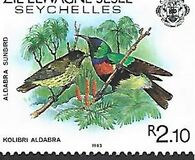 [Birds, tegund X]