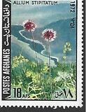 [Flora & Fauna, タイプ QY]