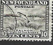 [Newfoundland Issue, type DU1]