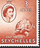 [Local Motives, type AL]