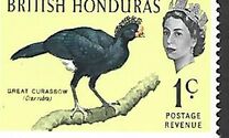 [Pájaros., tipo BS]