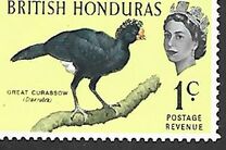 [Pájaros., tipo BS]