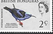 [Pájaros., tipo BT]