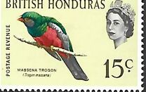 [Pájaros., tipo BY]