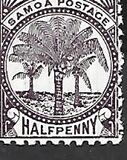 [Palms, type B]