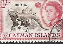 [Queen Elizabeth II & Local Motives, type CJ]