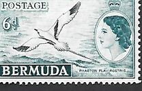 [Motivi locali e la regina Elisabetta II -  Filigrana: Corona multipla e scritta CA - Stampatore: Bradbury, Wilkinson & Co. Ltd, Scrivi BF]