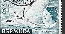 [Motivi locali e la regina Elisabetta II -  Filigrana: Corona multipla e scritta CA - Stampatore: Bradbury, Wilkinson & Co. Ltd, Scrivi BF]