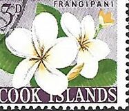 [Local Motives, Tip BS]