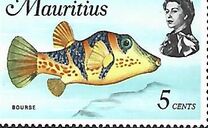 [Marine Life, տեսակ FA]