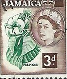 [Local Motifs, type ED]