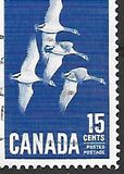 [Canada Geese, տեսակ JI]