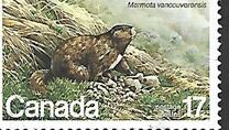 [Endangered Wildlife, type AAD]