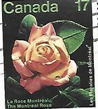 [Montreal Flower Show, Вид AAO]