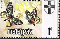[Butterflies, տեսակ BR]