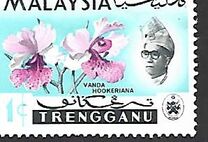 [Orchids, type AA]