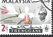 [Orchids, type AB]