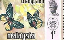 [Butterflies, type AI]