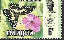 [Butterflies, type AL]