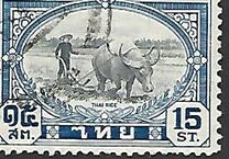 [Local Motives, type FL]