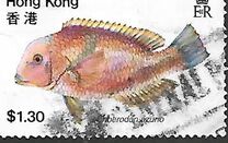 [Fish, 类型 GP]