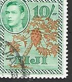 [Local Motifs, type XAJ]