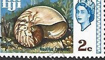 [Local Motives and Queen Elizabeth II, tipas DP]