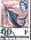 [Local Motives and Queen Elizabeth II, type DV]