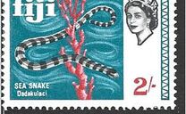 [Local Motives and Queen Elizabeth II, type DX]