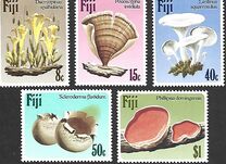 [Fungi, type OI]