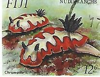 [Nudibranchs, type VW]