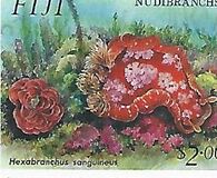 [Nudibranchs, type WB]