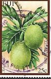[Tropical Fruit, වර්ගය AIA]