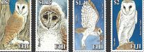 [Fiji's Barn Owls, type ANI]