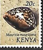 [Seashells, type AM]