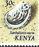 [Seashells, type AN]
