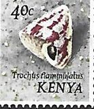 [Seashells, type AO]