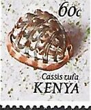 [Seashells, type AQ]