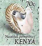 [Seashells, type AR]