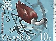[Birds, tyyppi Z]