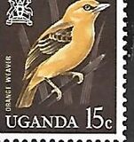 [Birds, tyyppi AA]